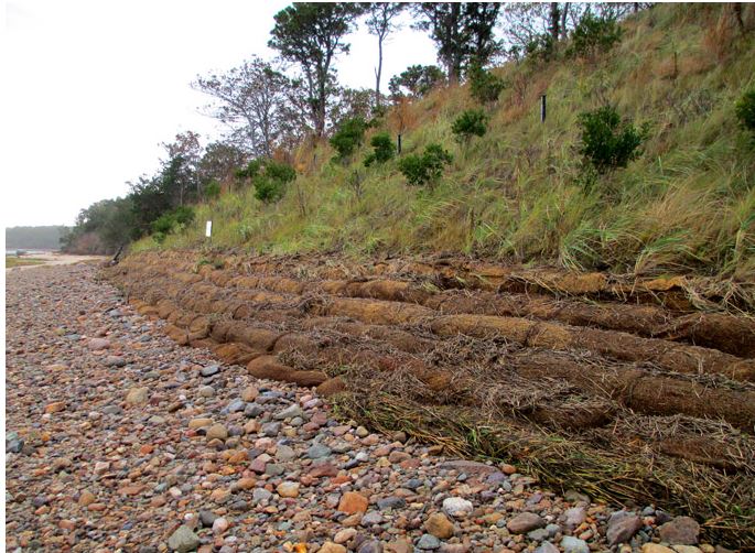 Coir Logs