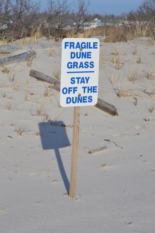 Dune restoration sign