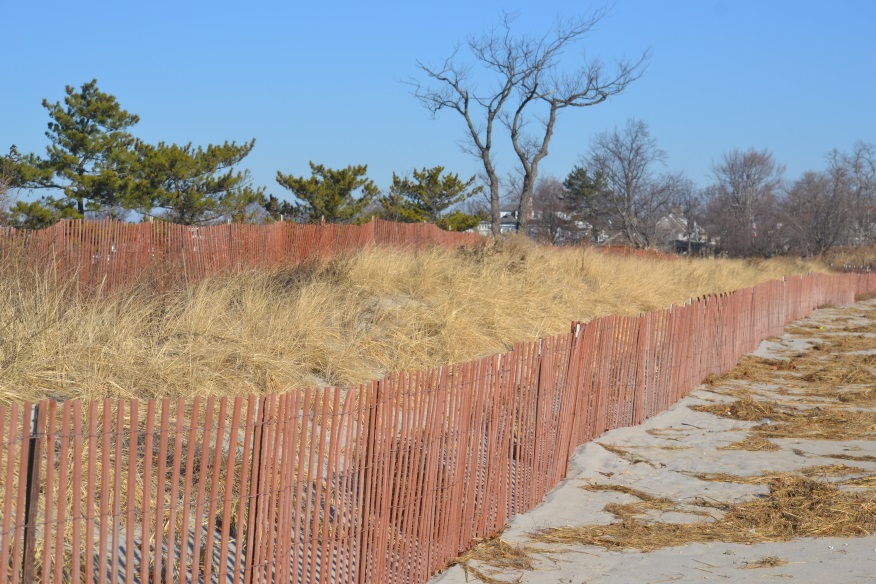 types-of-living-shorelines