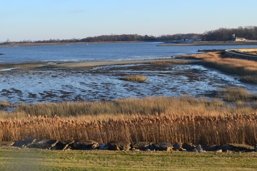 Greenwich marsh