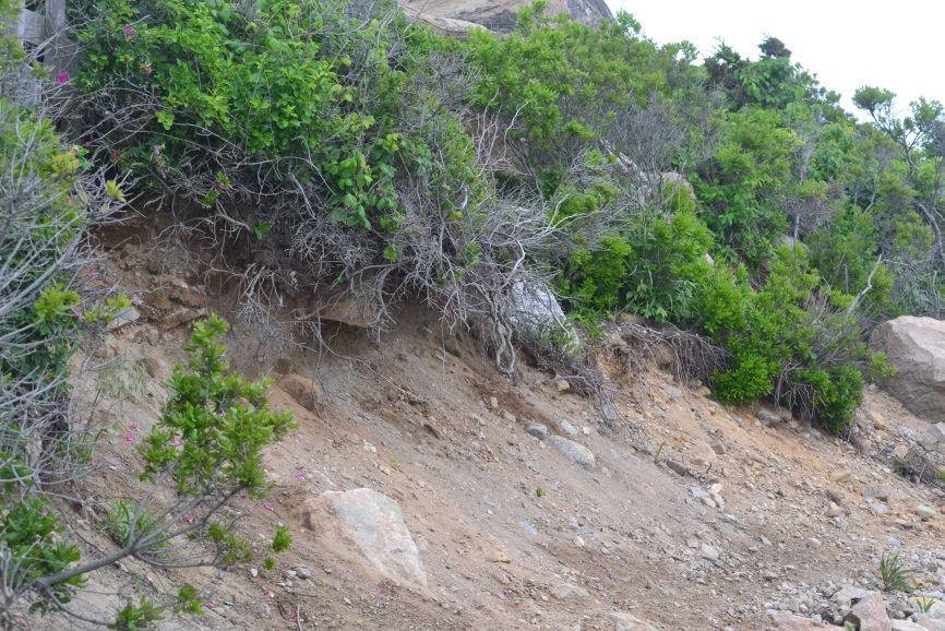 eroding bluff