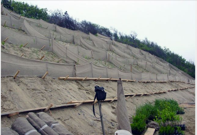 slope vegetating before